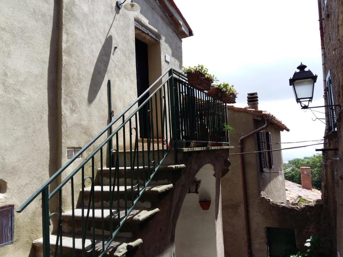 Nido Scansanese Scansano Extérieur photo